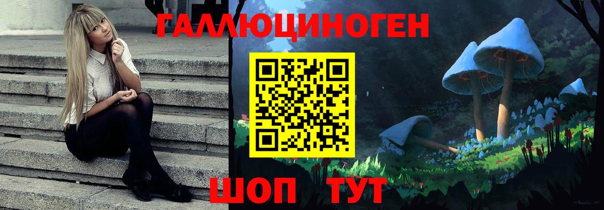 Псилоцибиновые грибы мицелий Назарово